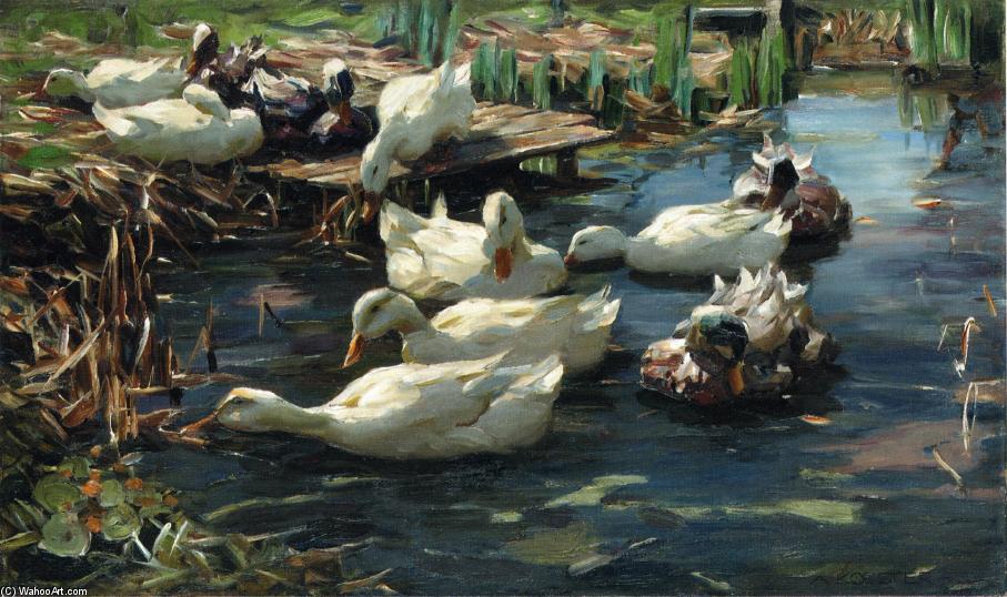 Wikioo.org - The Encyclopedia of Fine Arts - Painting, Artwork by Alexander Max Koeste - Ducks in a Quiet Pool
