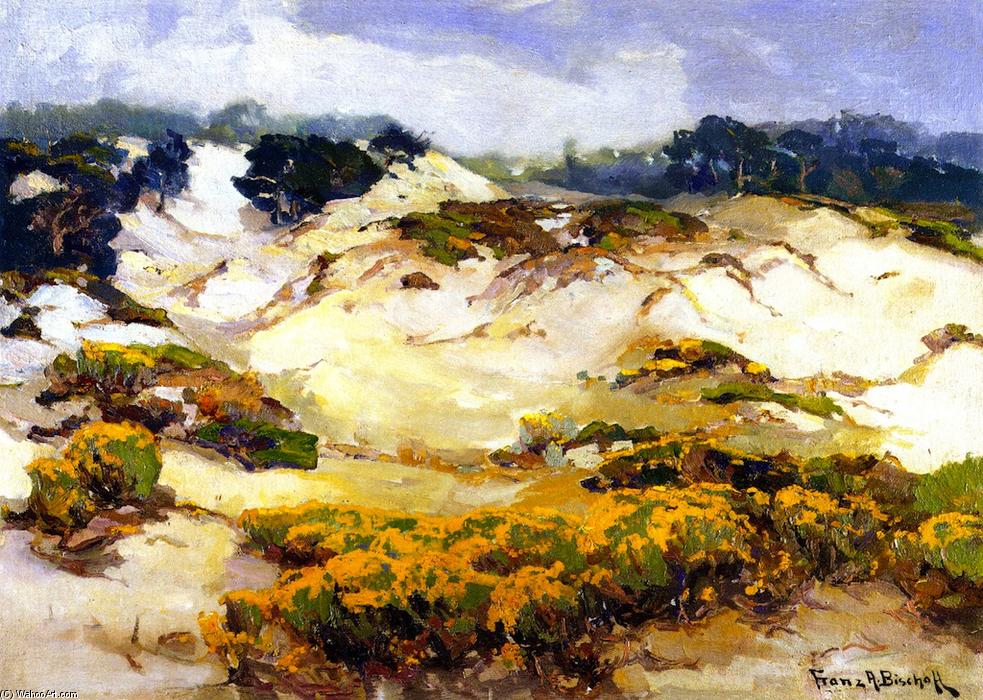 WikiOO.org – 美術百科全書 - 繪畫，作品 Franz Bischoff - 沙丘苍白由雾，蒙特里海岸