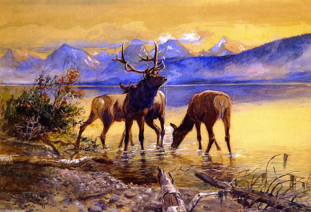 Wikioo.org - The Encyclopedia of Fine Arts - Painting, Artwork by Charles Marion Russell - Elk in Lake McDonald