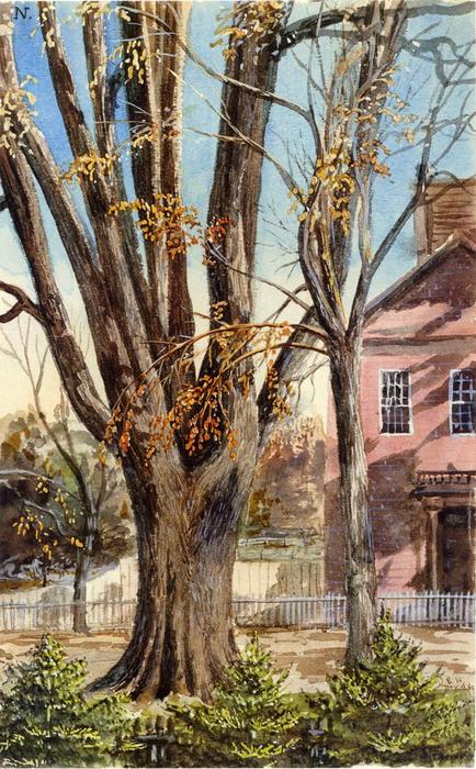Wikioo.org - The Encyclopedia of Fine Arts - Painting, Artwork by Charles De Wolf Brownell - Elm, East Hartford, Connecticut