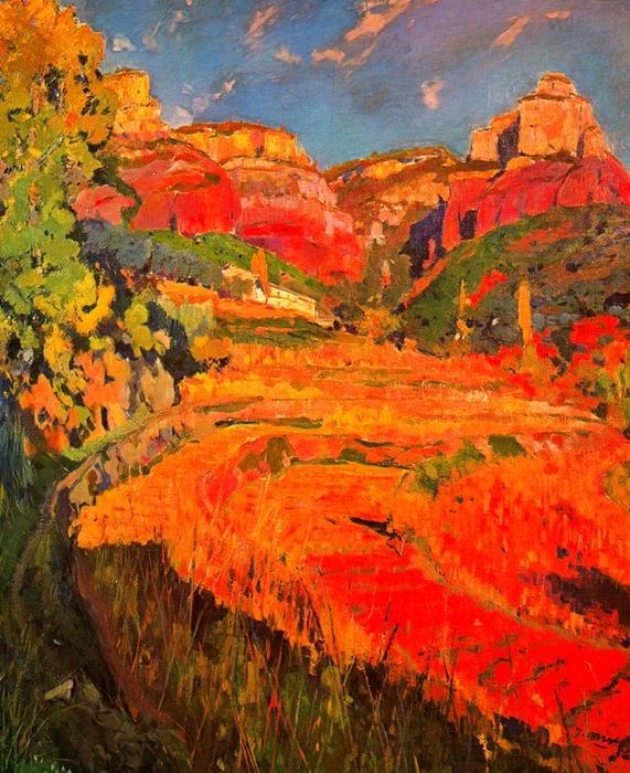 Wikioo.org – La Enciclopedia de las Bellas Artes - Pintura, Obras de arte de Joaquin Mir Trinxet - El valle rojo