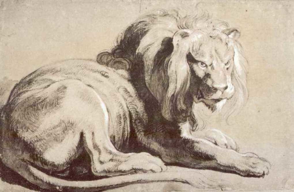 Wikioo.org - The Encyclopedia of Fine Arts - Painting, Artwork by Peter Paul Rubens - Etude of lion