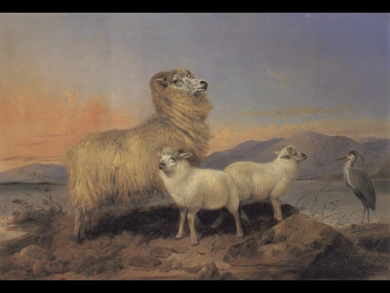 Wikioo.org - The Encyclopedia of Fine Arts - Painting, Artwork by Richard Ansdell - A Ewe with Lambs and a Heron Beside a Loch