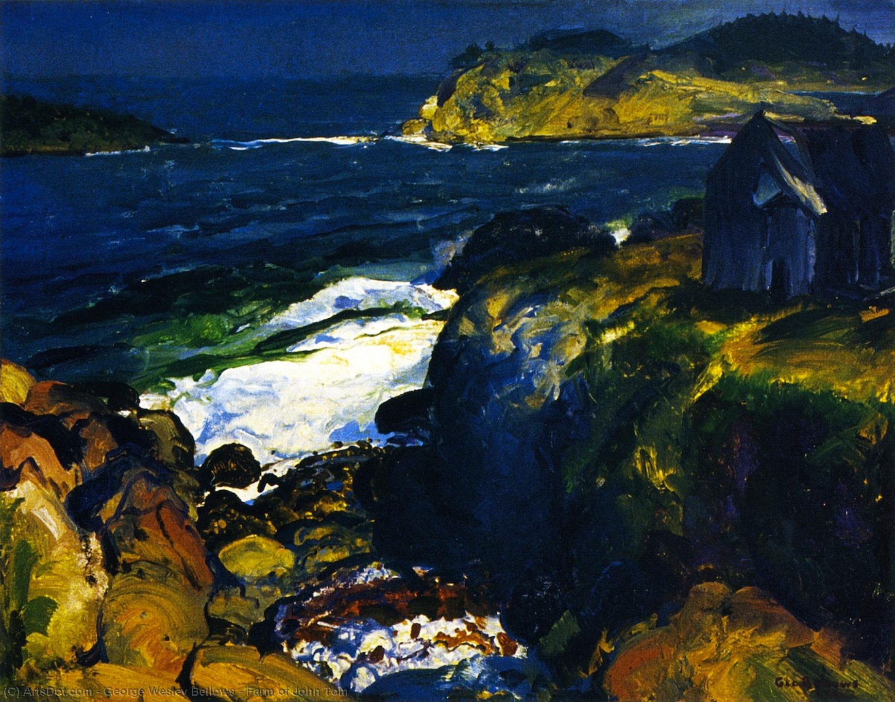 Wikioo.org - The Encyclopedia of Fine Arts - Painting, Artwork by George Wesley Bellows - Farm of John Tom