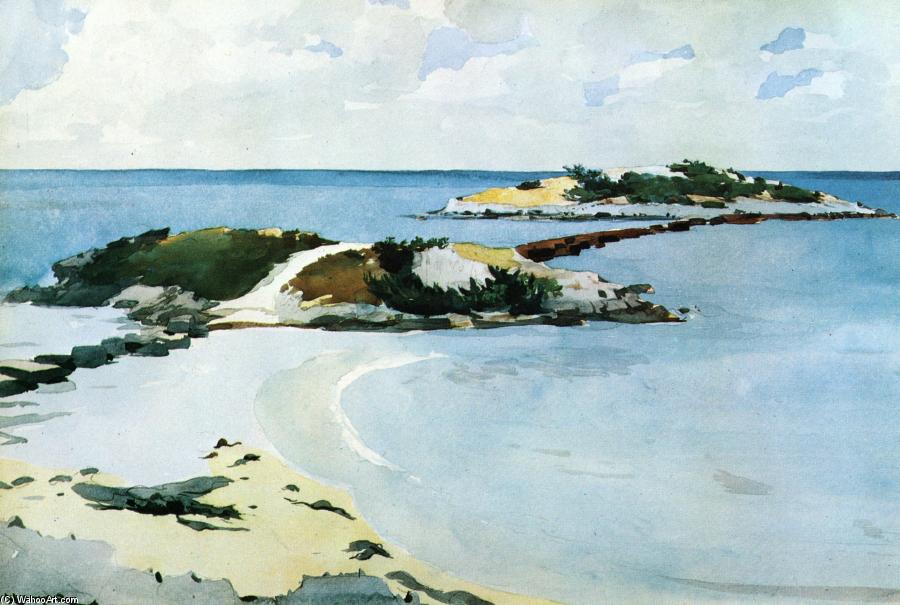 Wikioo.org – La Enciclopedia de las Bellas Artes - Pintura, Obras de arte de Winslow Homer - el favorito