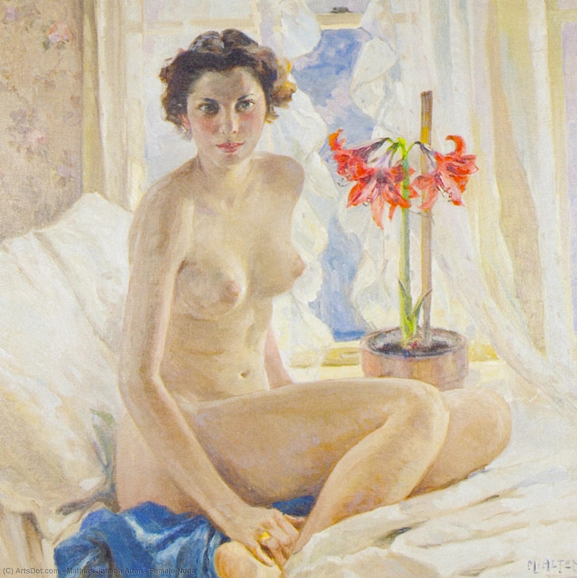 Wikioo.org – La Enciclopedia de las Bellas Artes - Pintura, Obras de arte de Mathias Joseph Alten - desnudo femenino
