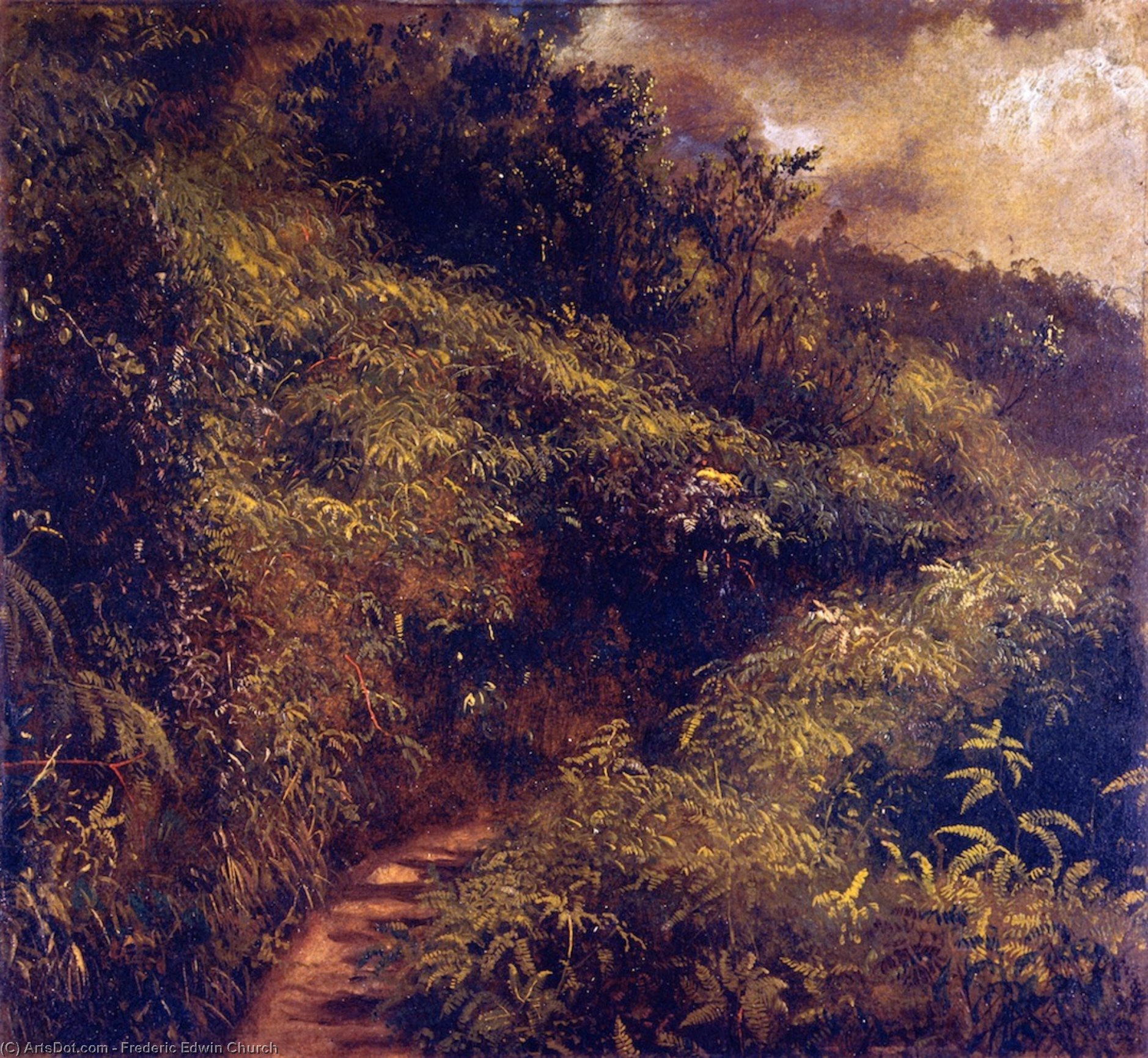 Wikioo.org - The Encyclopedia of Fine Arts - Painting, Artwork by Frederic Edwin Church - Fern Walk