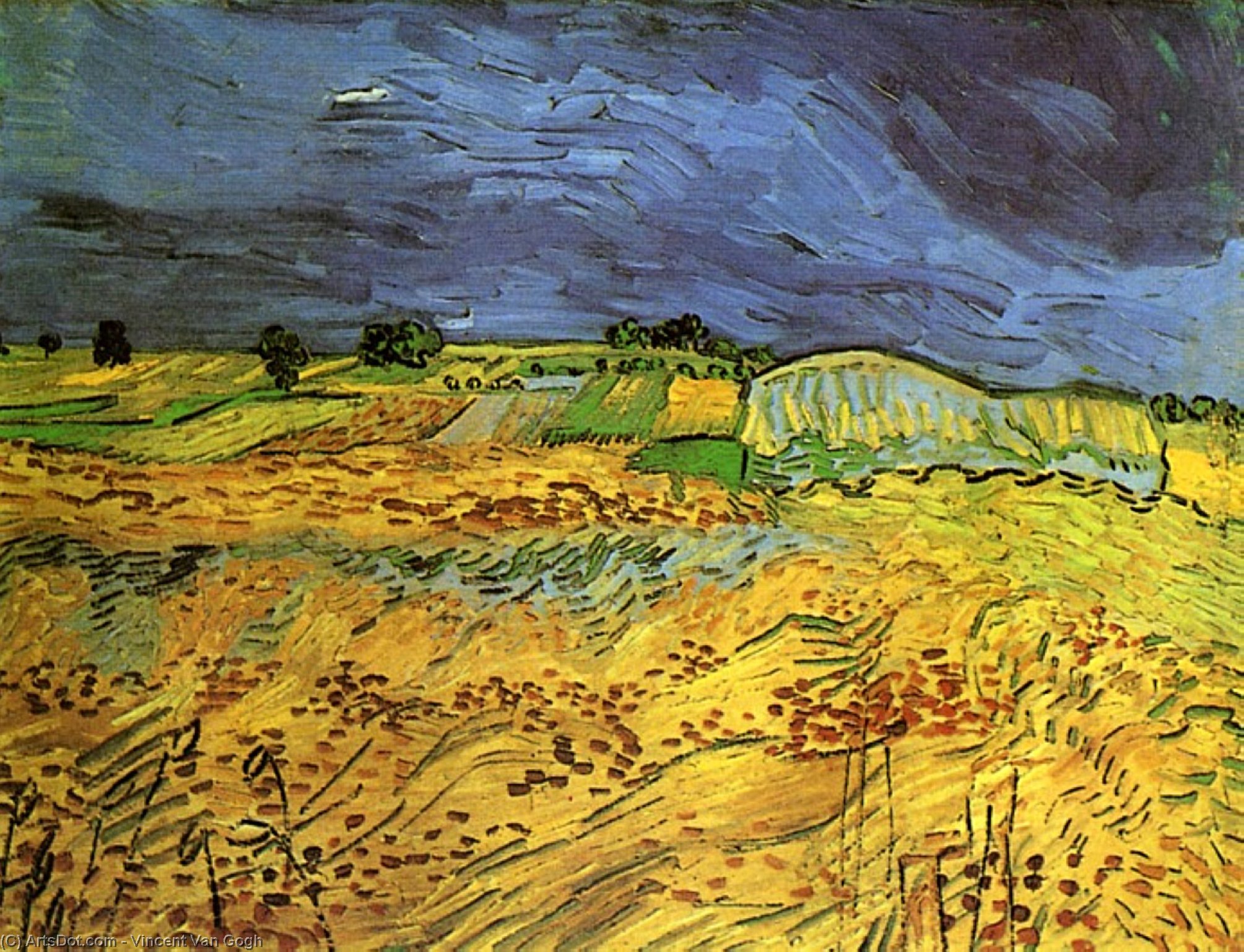 Wikioo.org - The Encyclopedia of Fine Arts - Painting, Artwork by Vincent Van Gogh - The Fields