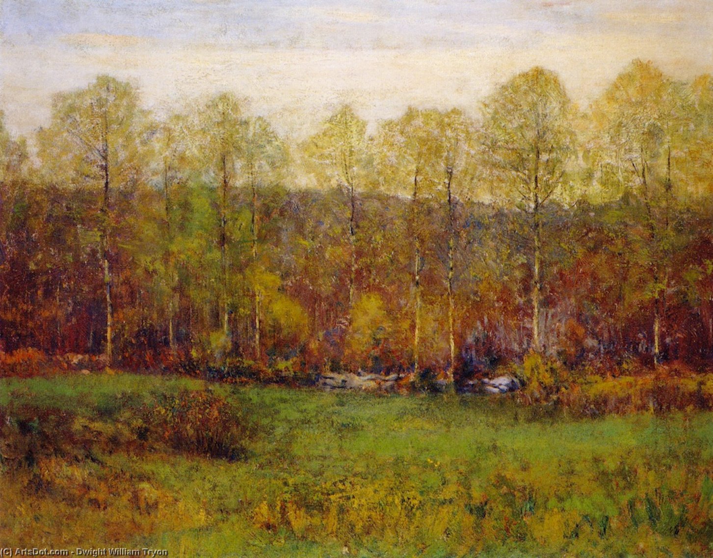 Wikioo.org - The Encyclopedia of Fine Arts - Painting, Artwork by Dwight William Tryon - The First Leaves