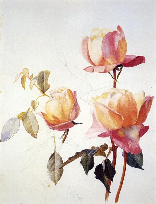 Wikioo.org – La Enciclopedia de las Bellas Artes - Pintura, Obras de arte de Henry Roderick Newman - Rosas florentinos