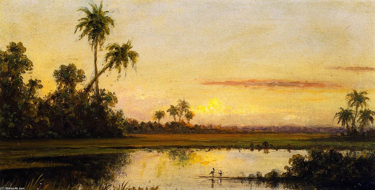 Wikioo.org - The Encyclopedia of Fine Arts - Painting, Artwork by Martin Johnson Heade - Florida River Scene
