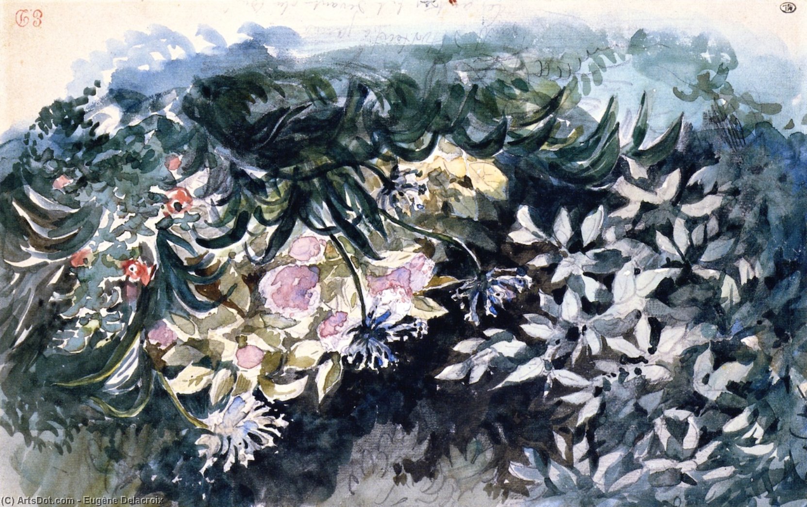 Wikioo.org - The Encyclopedia of Fine Arts - Painting, Artwork by Eugène Delacroix - Flower bed with Hydrangeas, Scillas and Anemones
