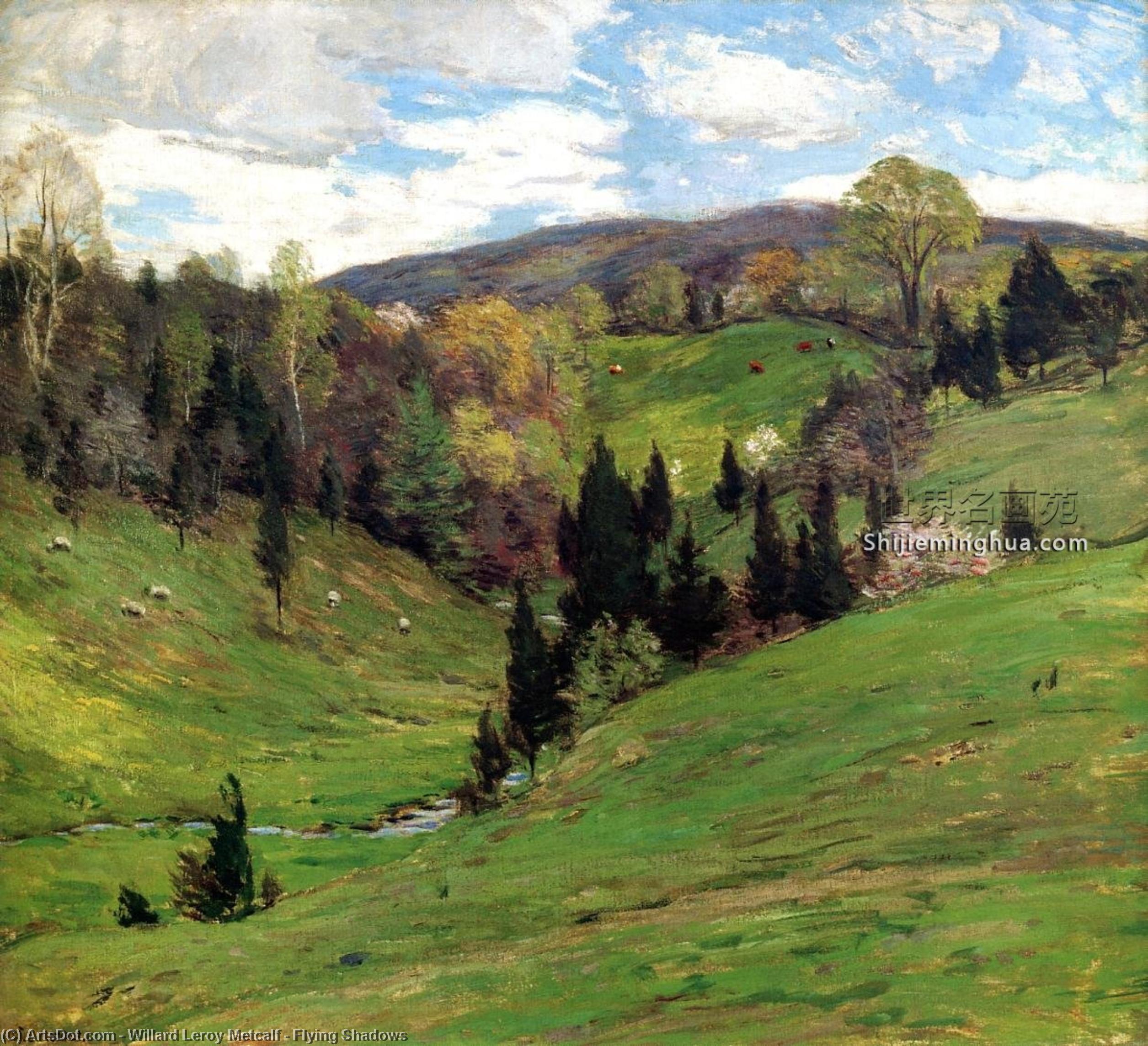 Wikioo.org - The Encyclopedia of Fine Arts - Painting, Artwork by Willard Leroy Metcalf - Flying Shadows