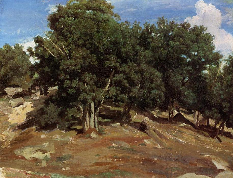Wikioo.org - The Encyclopedia of Fine Arts - Painting, Artwork by Jean Baptiste Camille Corot - Fontainebleau - Black Oaks of Bas-Breau