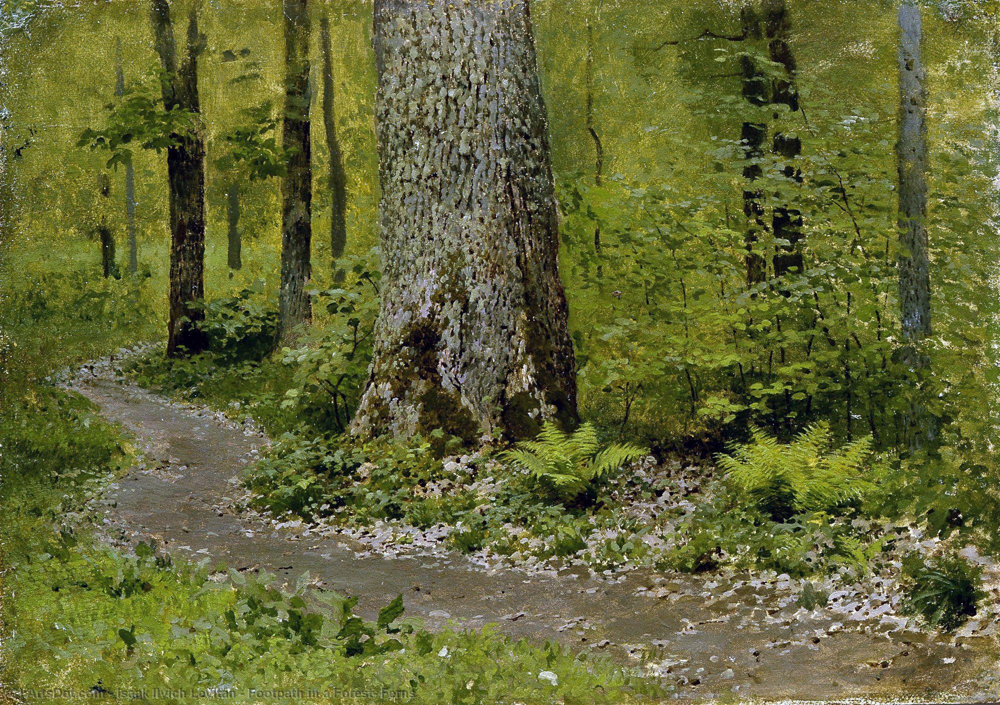 Wikioo.org - The Encyclopedia of Fine Arts - Painting, Artwork by Isaak Ilyich Levitan - Footpath in a Forest, Ferns