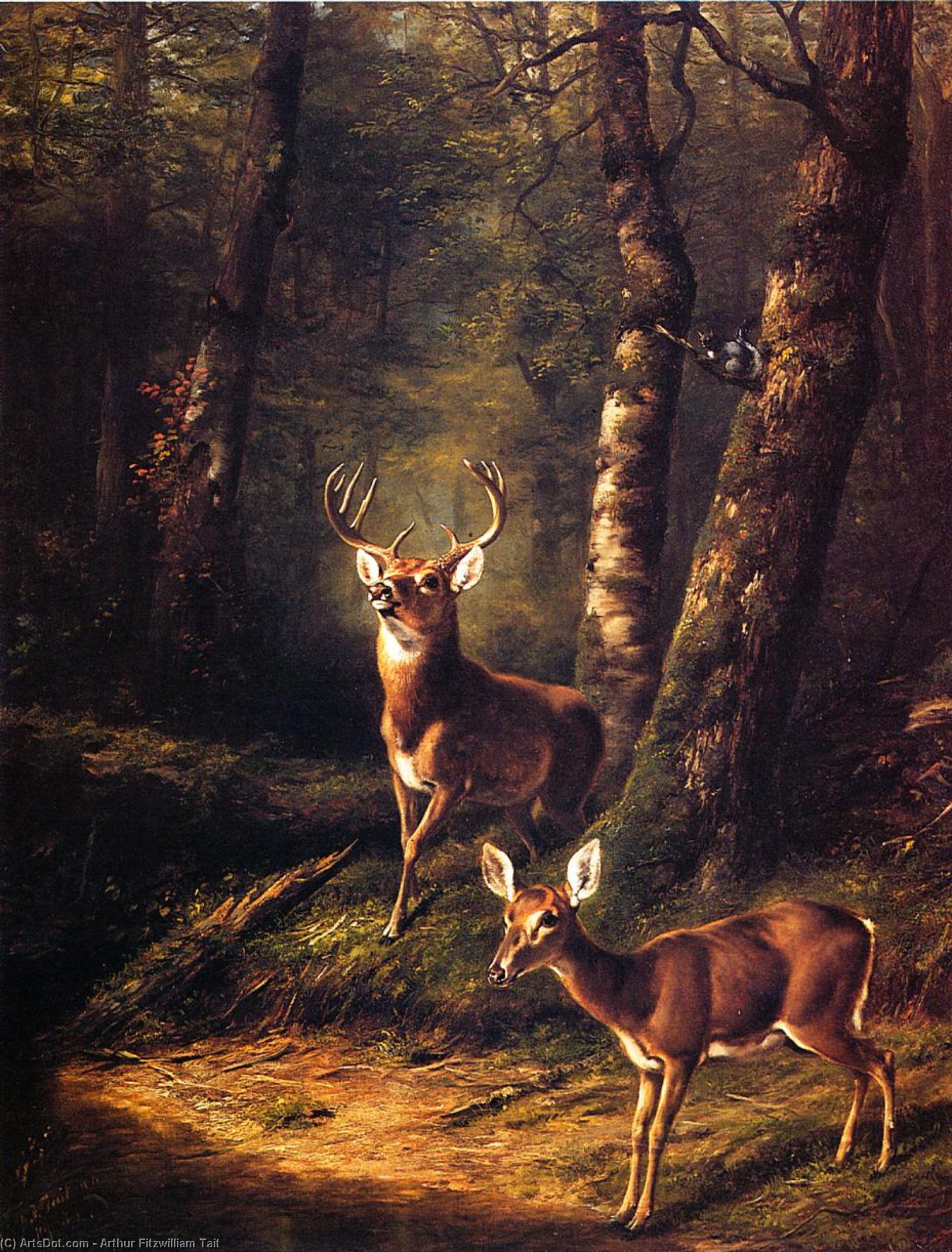WikiOO.org - دایره المعارف هنرهای زیبا - نقاشی، آثار هنری Arthur Fitzwilliam Tait - The Forest: Adirondacks