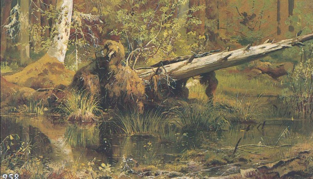 WikiOO.org - Енциклопедия за изящни изкуства - Живопис, Произведения на изкуството Ivan Ivanovich Shishkin - Forest (etude)