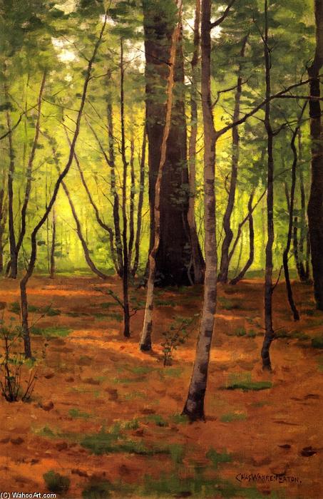 Wikioo.org - The Encyclopedia of Fine Arts - Painting, Artwork by Charles Warren Eaton - Forest Glen