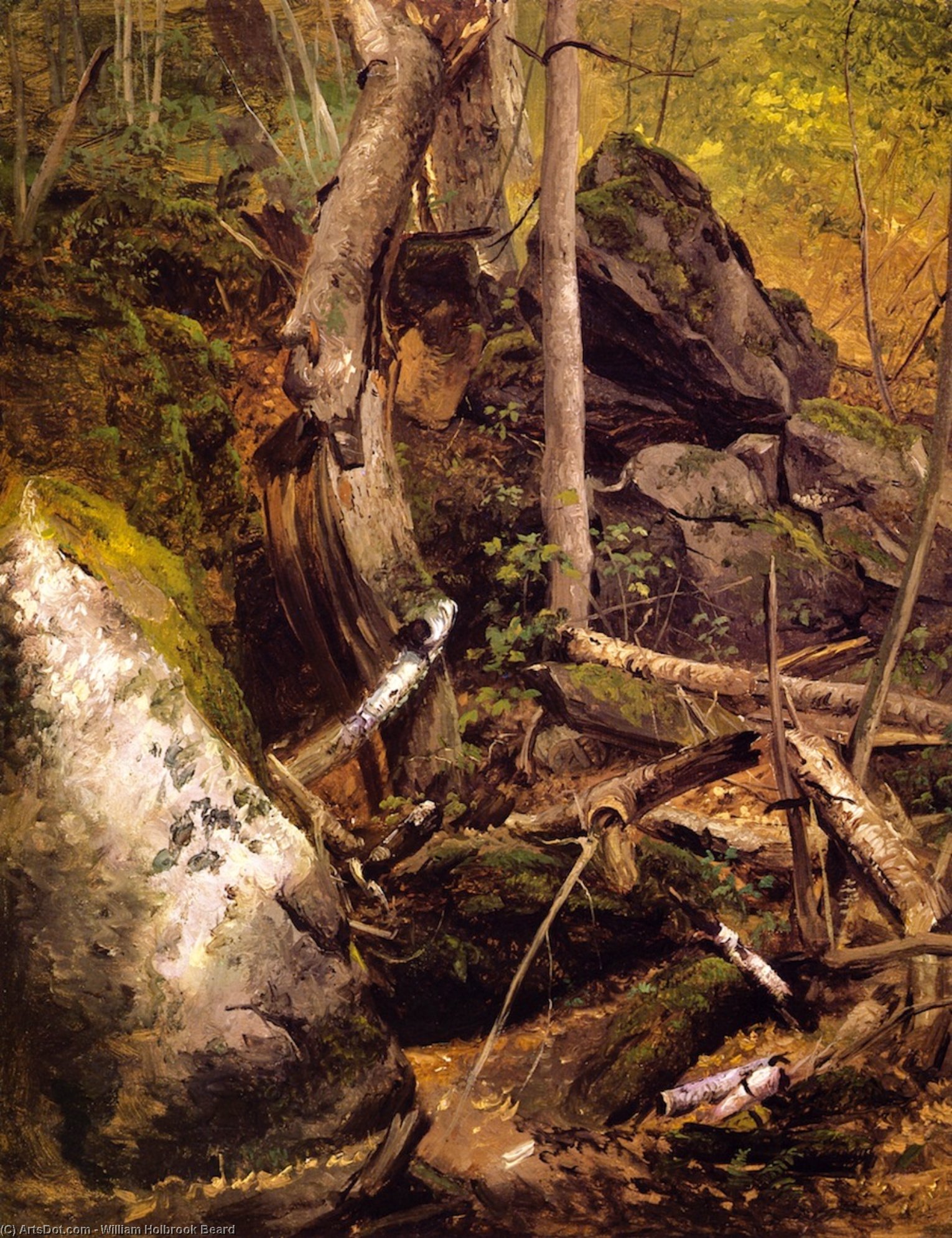 Wikioo.org - The Encyclopedia of Fine Arts - Painting, Artwork by William Holbrook Beard - Forest Interior