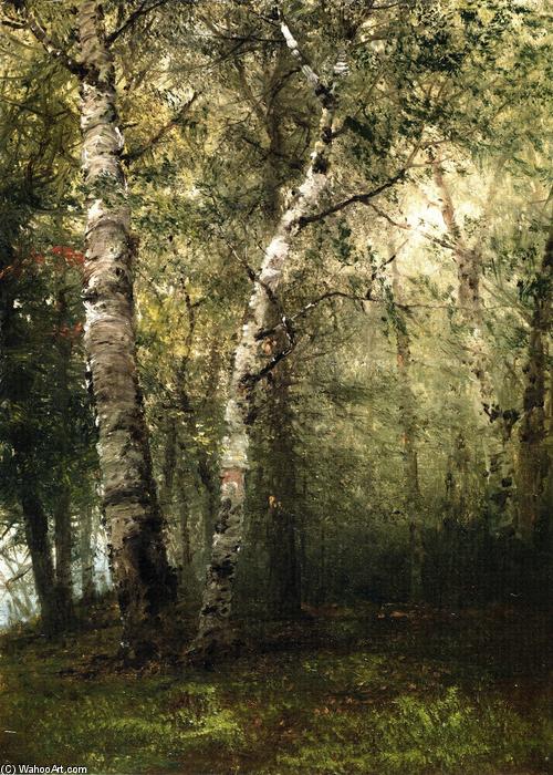 Wikioo.org - The Encyclopedia of Fine Arts - Painting, Artwork by John Frederick Kensett - Forest Landscape