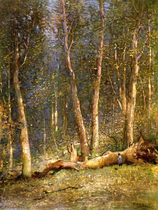 Wikioo.org - The Encyclopedia of Fine Arts - Painting, Artwork by John Ferguson Weir - Forest of Fontainebleau