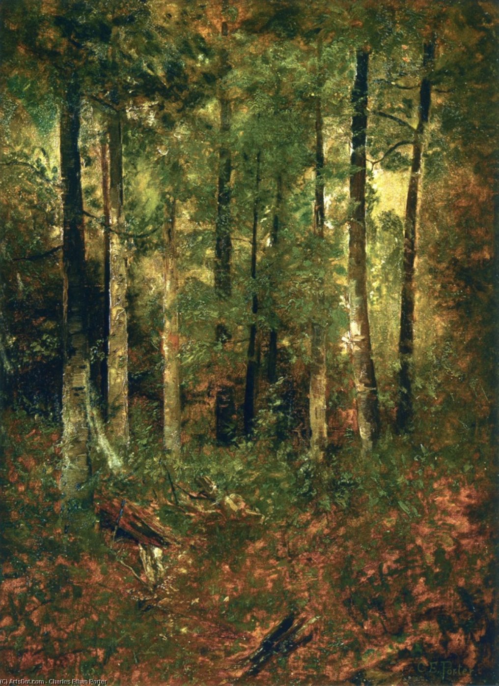 Wikioo.org – L'Encyclopédie des Beaux Arts - Peinture, Oeuvre de Charles Ethan Porter - forêt scène