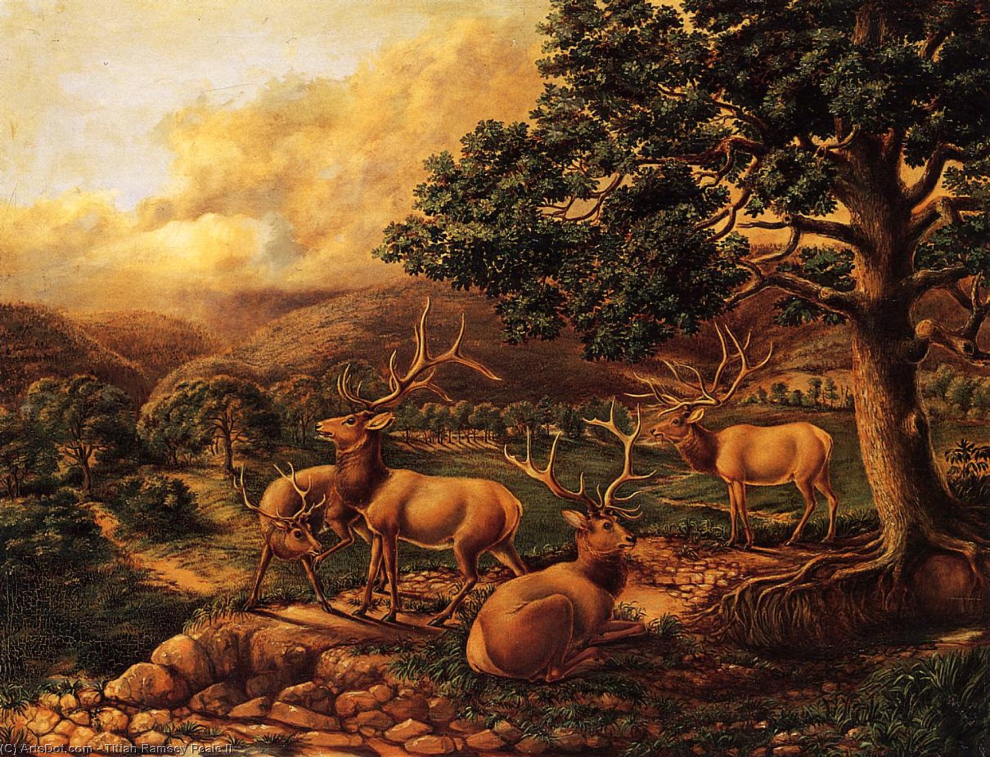 Wikioo.org - The Encyclopedia of Fine Arts - Painting, Artwork by Titian Ramsey Peale Ii - Four Elk
