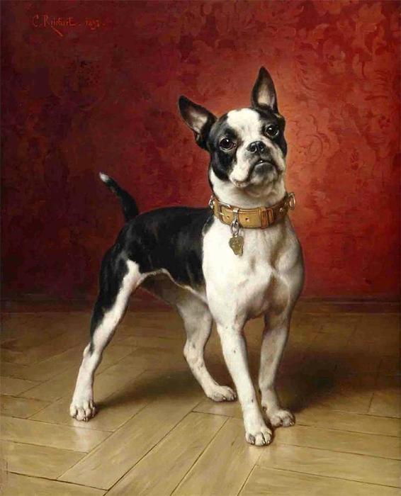 Wikioo.org - The Encyclopedia of Fine Arts - Painting, Artwork by Carl Reichert - A French bulldog
