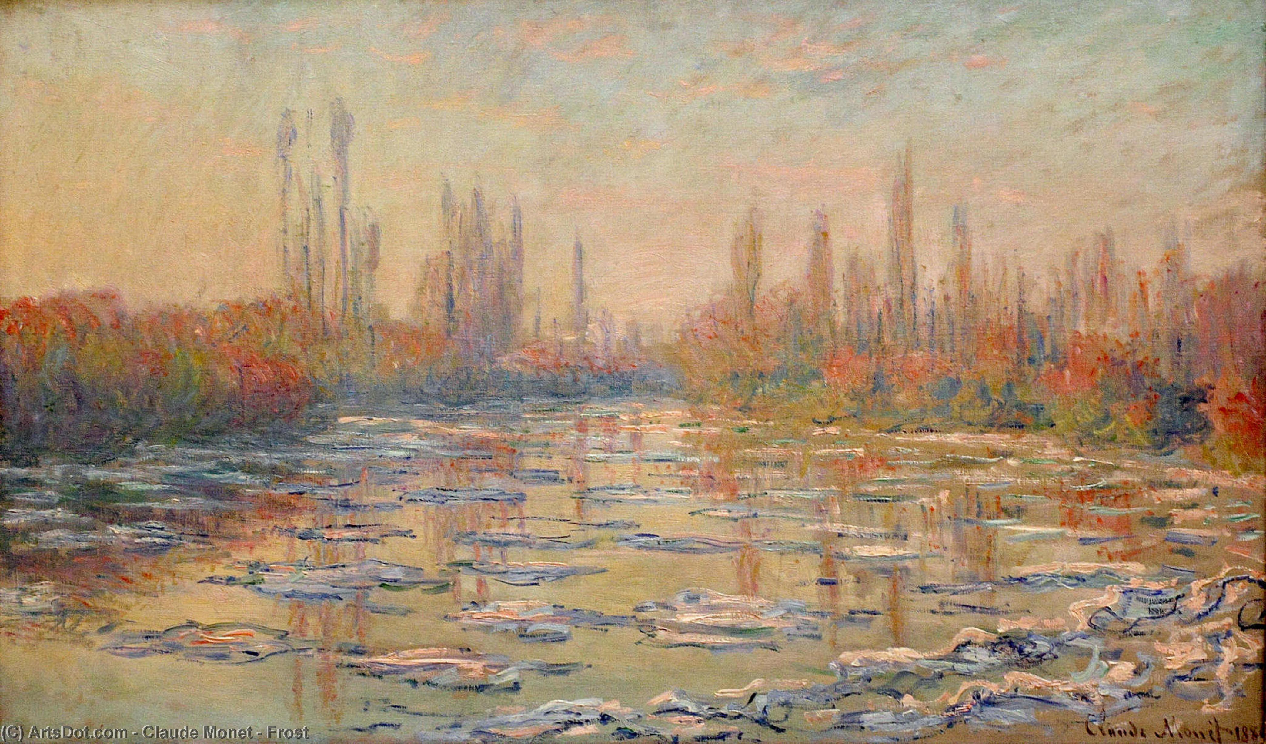 Wikioo.org - The Encyclopedia of Fine Arts - Painting, Artwork by Claude Monet - Frost