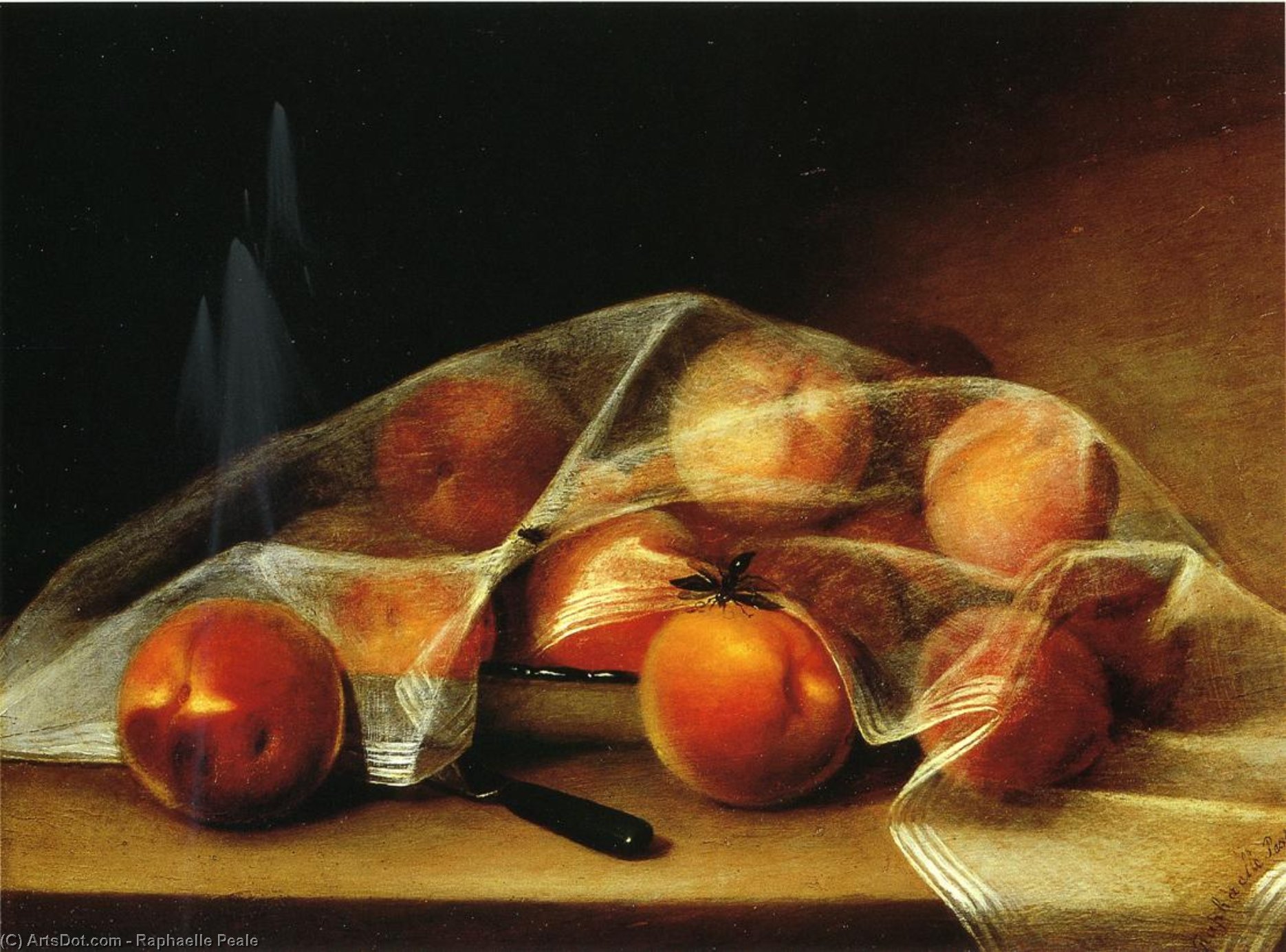 WikiOO.org - 백과 사전 - 회화, 삽화 Raphaelle Peale - Fruit Piece with Peaches Covered by a Handkerchief (also known as Covered Peaches)