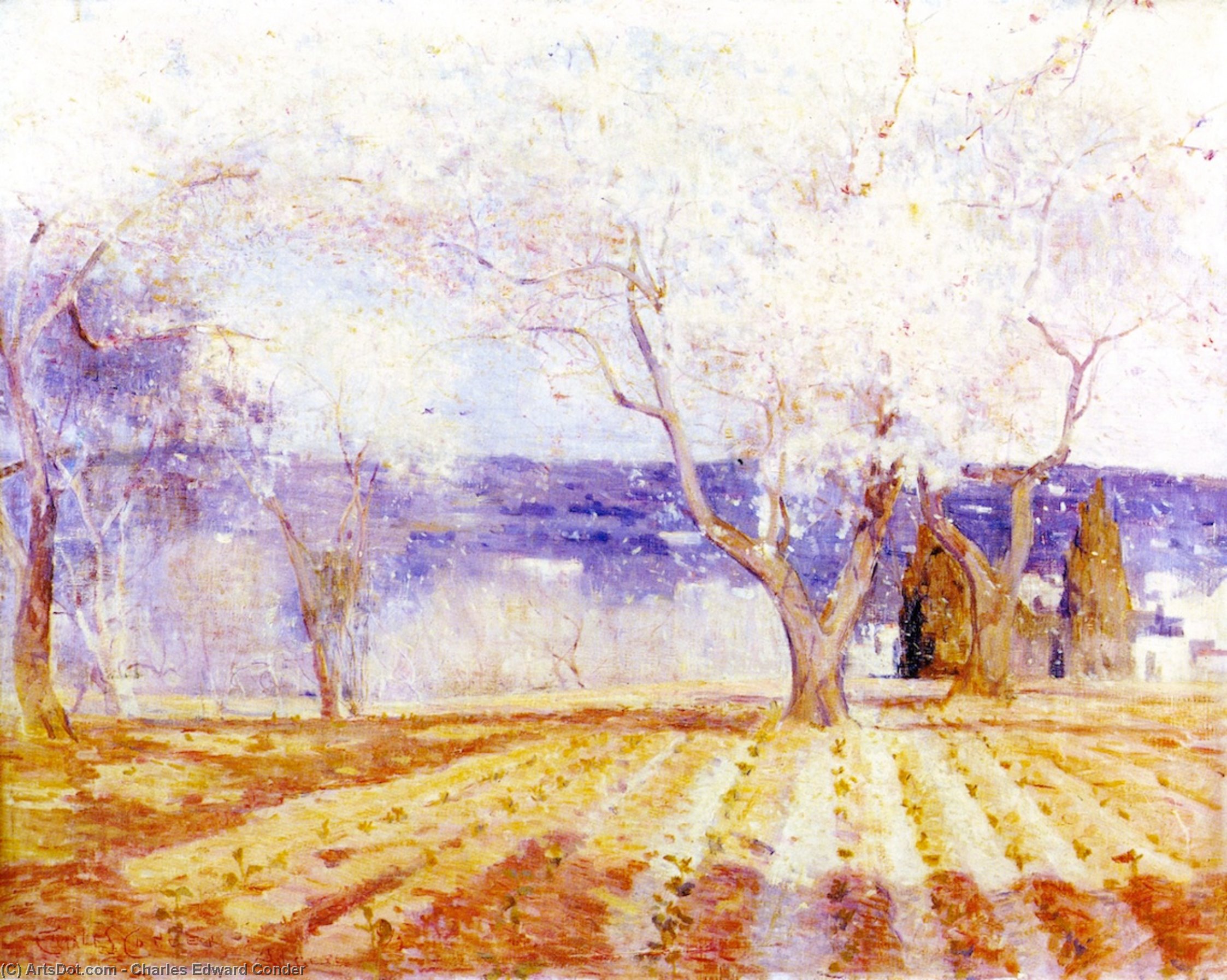 Wikioo.org - The Encyclopedia of Fine Arts - Painting, Artwork by Charles Edward Conder - Fruit Trees in Blossom, Algiers