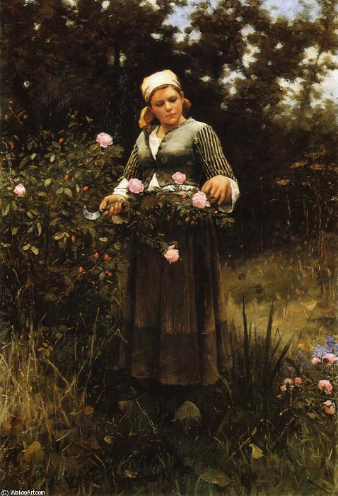 Wikioo.org - สารานุกรมวิจิตรศิลป์ - จิตรกรรม Daniel Ridgway Knight - Gathering Roses