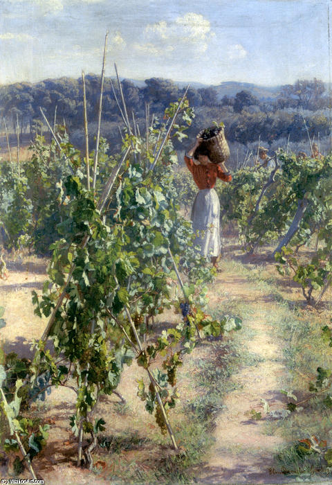 WikiOO.org - Encyclopedia of Fine Arts - Festés, Grafika Elin Kleopatra Danielson Gambogi - Grape harvesting