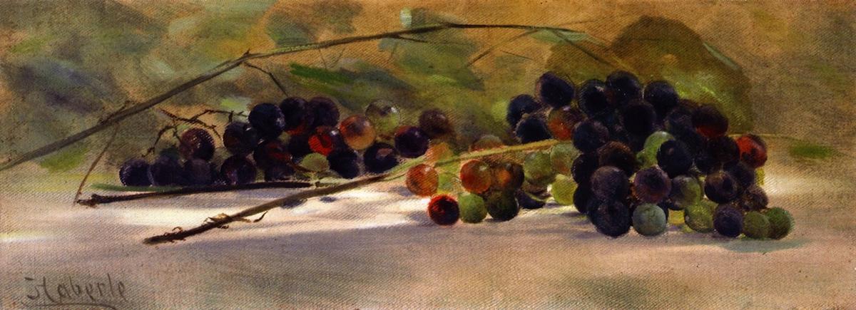 Wikioo.org - The Encyclopedia of Fine Arts - Painting, Artwork by John Haberle - Grapes on a Ledge