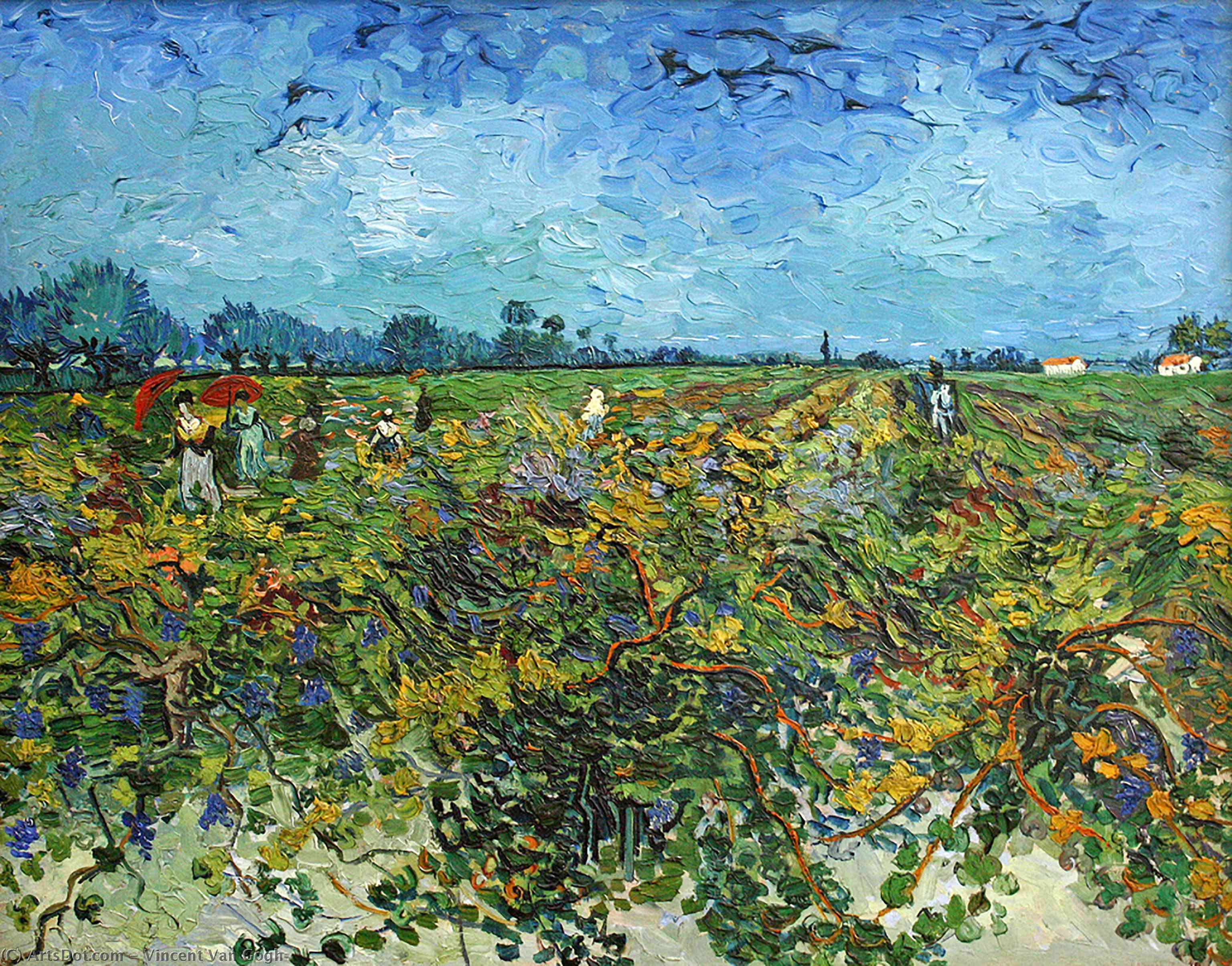 WikiOO.org - Encyclopedia of Fine Arts - Malba, Artwork Vincent Van Gogh - The Green Vineyard