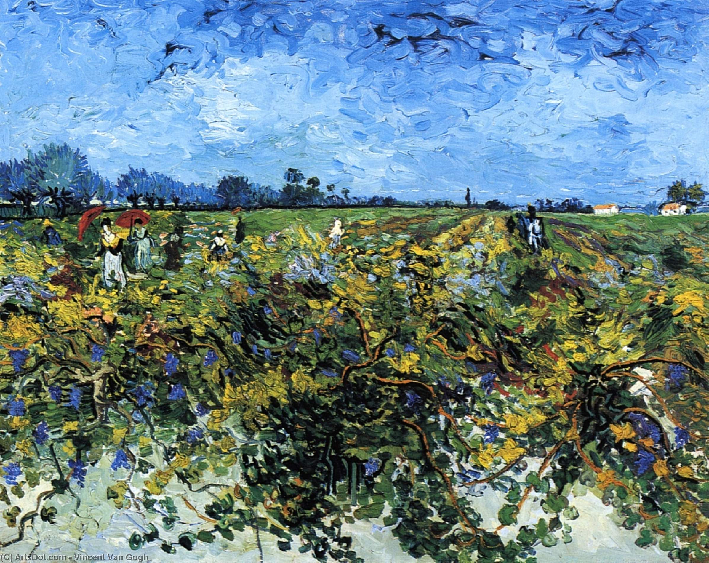 WikiOO.org - Encyclopedia of Fine Arts - Schilderen, Artwork Vincent Van Gogh - The Green Vinyard