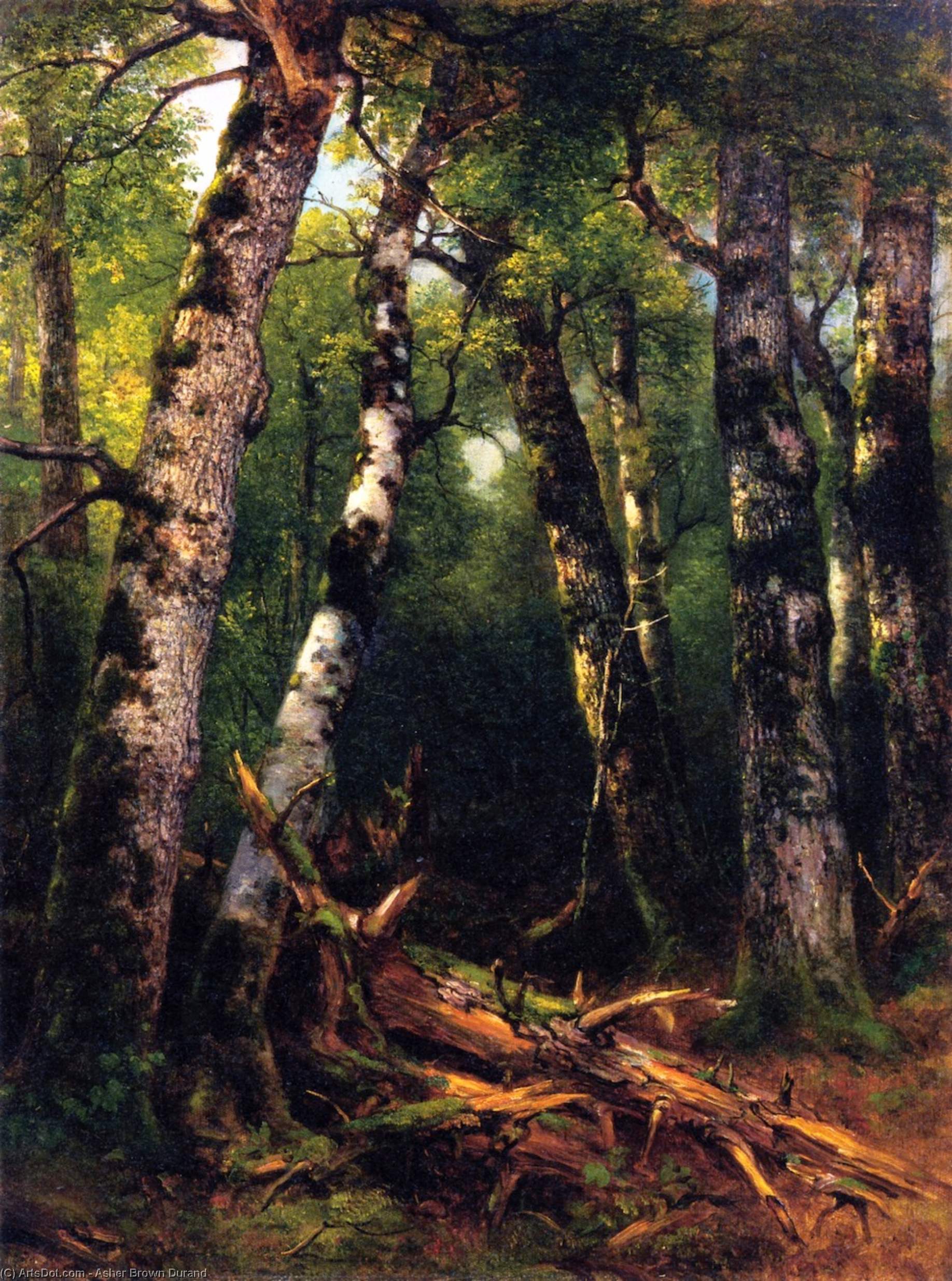 Wikioo.org - The Encyclopedia of Fine Arts - Painting, Artwork by Asher Brown Durand - Group of Trees