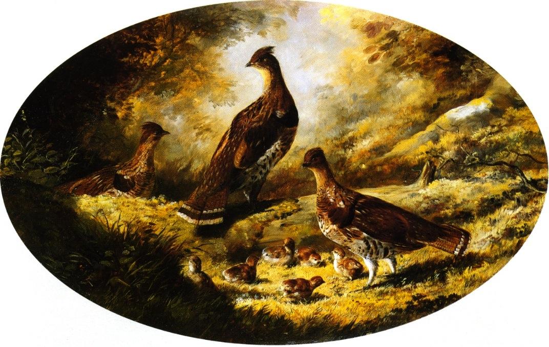 Wikioo.org - The Encyclopedia of Fine Arts - Painting, Artwork by Arthur Fitzwilliam Tait - Grouse Family