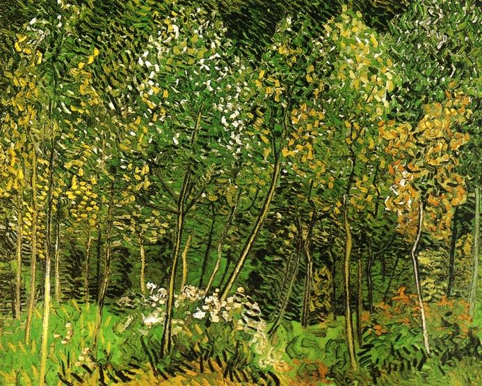 Wikioo.org – L'Enciclopedia delle Belle Arti - Pittura, Opere di Vincent Van Gogh - IL BOSCHETTO