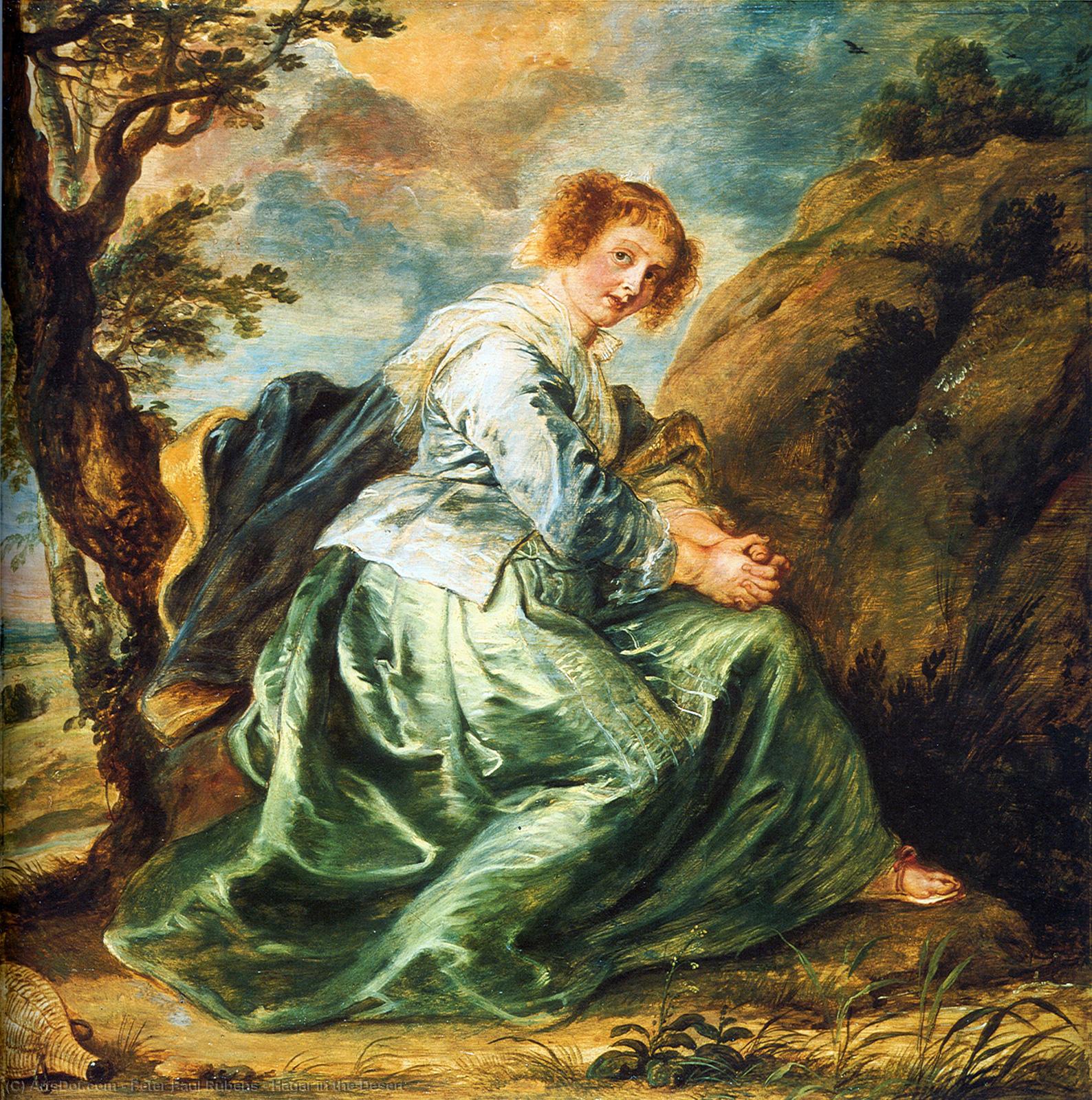 Wikioo.org - สารานุกรมวิจิตรศิลป์ - จิตรกรรม Peter Paul Rubens - Hagar in the Desert