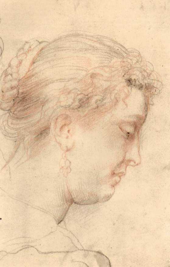 Wikioo.org - The Encyclopedia of Fine Arts - Painting, Artwork by Peter Paul Rubens - Head of woman