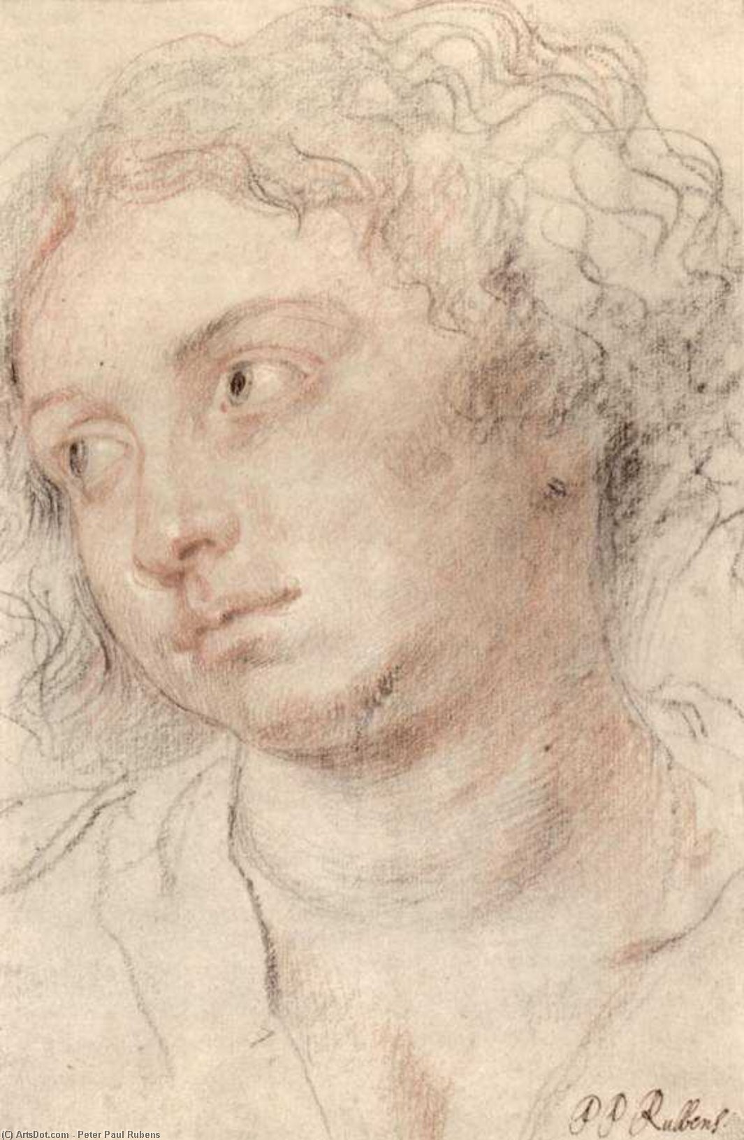 WikiOO.org - Енциклопедия за изящни изкуства - Живопис, Произведения на изкуството Peter Paul Rubens - Head of woman