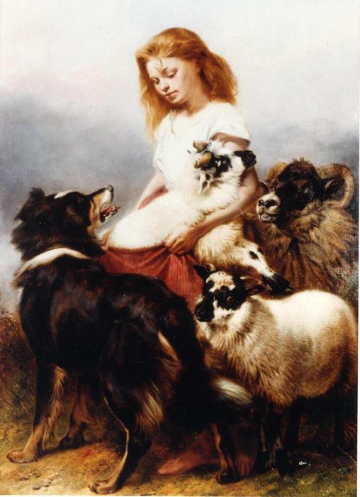 Wikioo.org – La Enciclopedia de las Bellas Artes - Pintura, Obras de arte de Richard Ansdell - El Rebaño Lassie