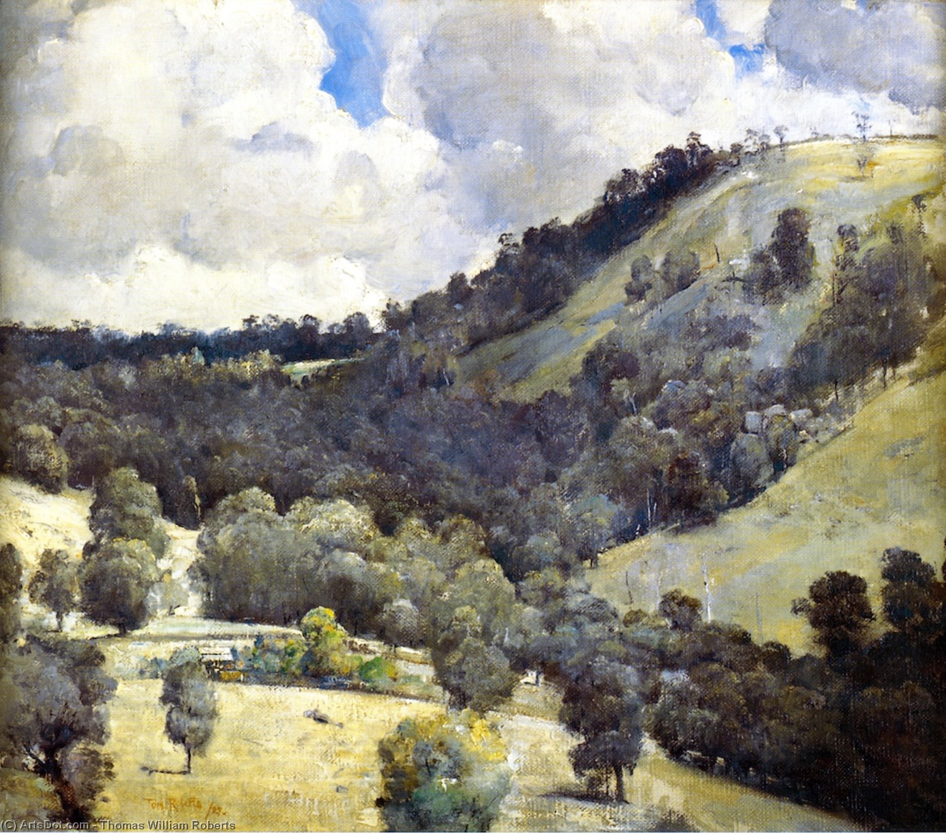 Wikioo.org - The Encyclopedia of Fine Arts - Painting, Artwork by Thomas William Roberts - Hillside