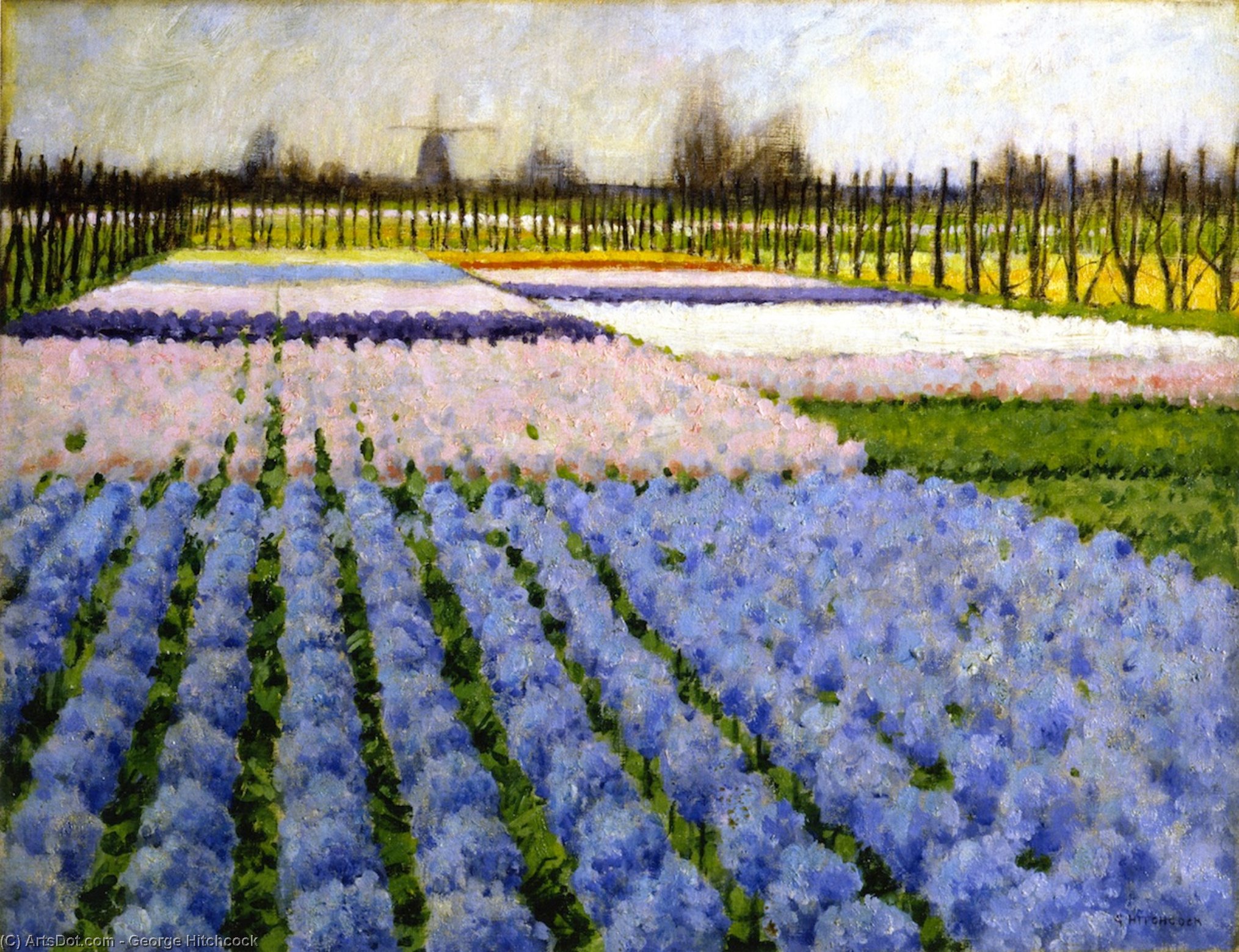 Wikioo.org - The Encyclopedia of Fine Arts - Painting, Artwork by George Hitchcock - Holland, Hyacinth Garden