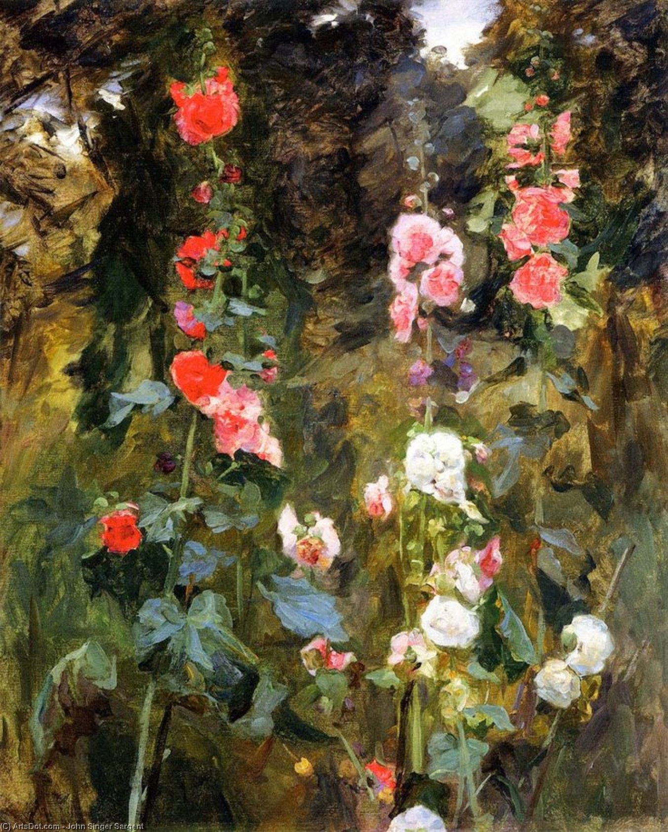Wikioo.org - The Encyclopedia of Fine Arts - Painting, Artwork by John Singer Sargent - Hollyhocks, Isle of Shoals