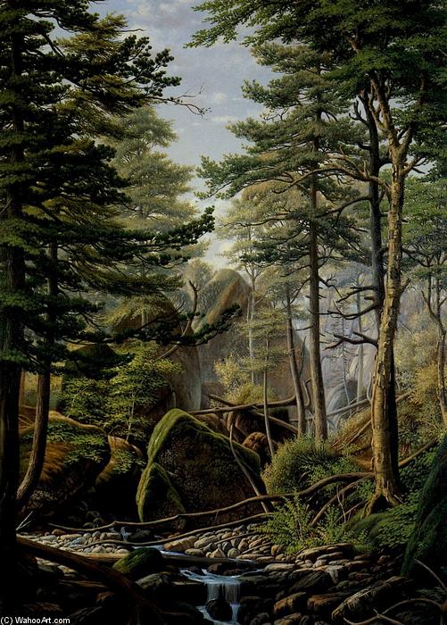Wikioo.org - The Encyclopedia of Fine Arts - Painting, Artwork by Levi Wells Prentice - Hooper's Gorge, Onondaga Valley