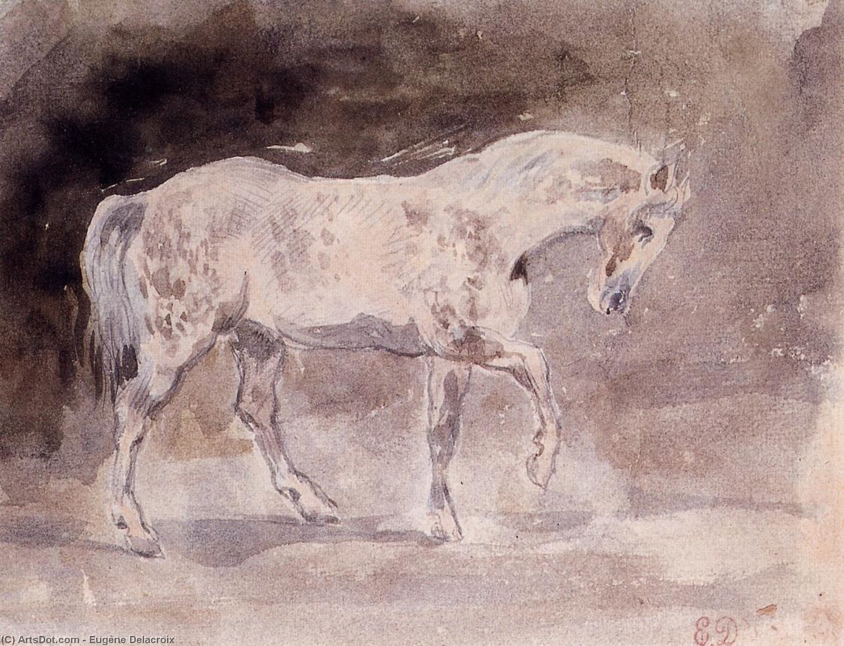 Wikioo.org - The Encyclopedia of Fine Arts - Painting, Artwork by Eugène Delacroix - Horse