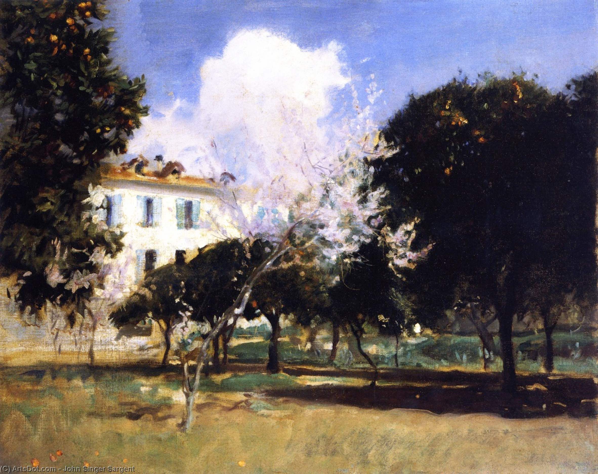 Wikioo.org - The Encyclopedia of Fine Arts - Painting, Artwork by John Singer Sargent - House and Garden, Nice (also known as Almond Blossoms)