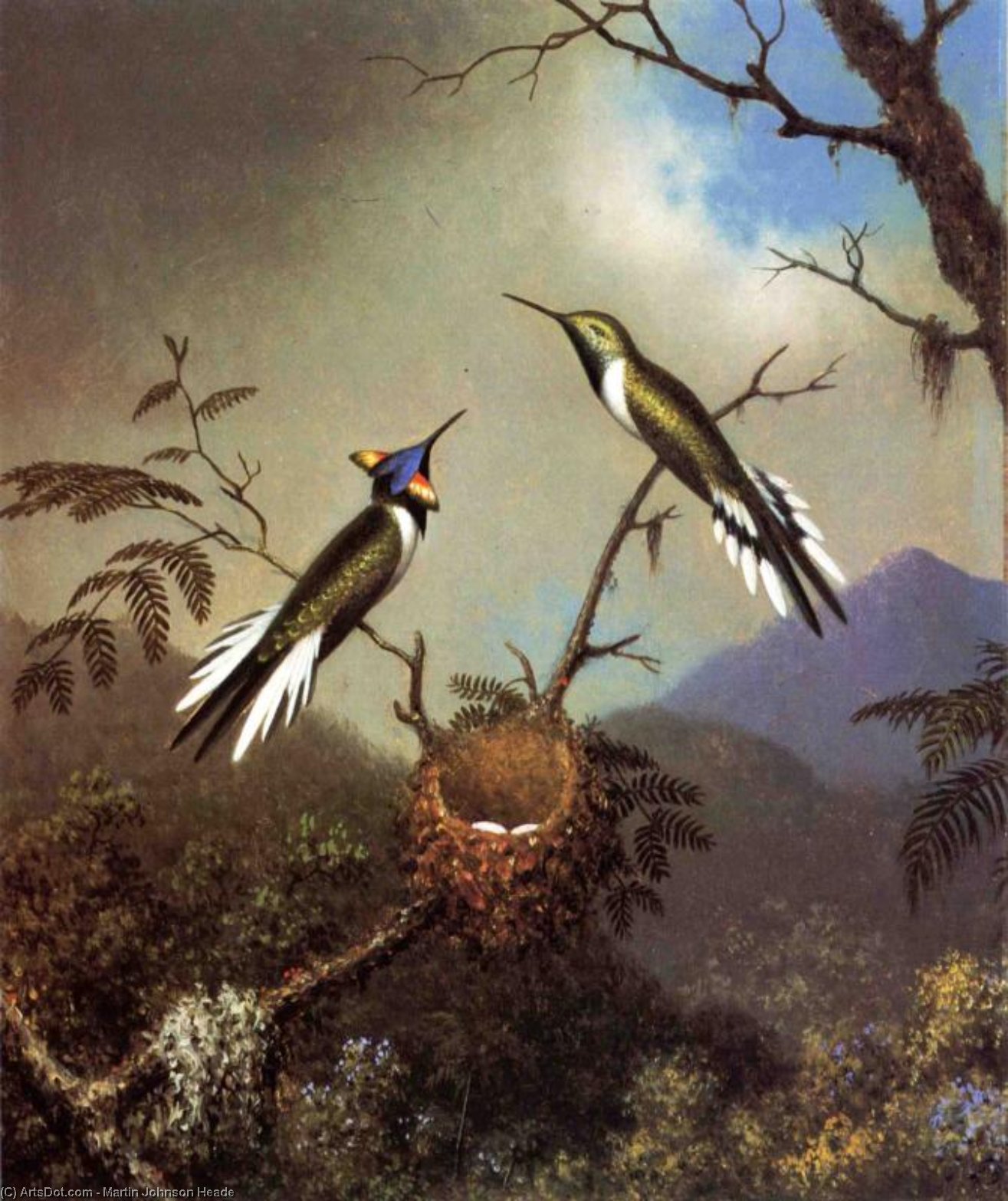 Wikioo.org - The Encyclopedia of Fine Arts - Painting, Artwork by Martin Johnson Heade - Hummingbirds at Their Nest - Sun Gems
